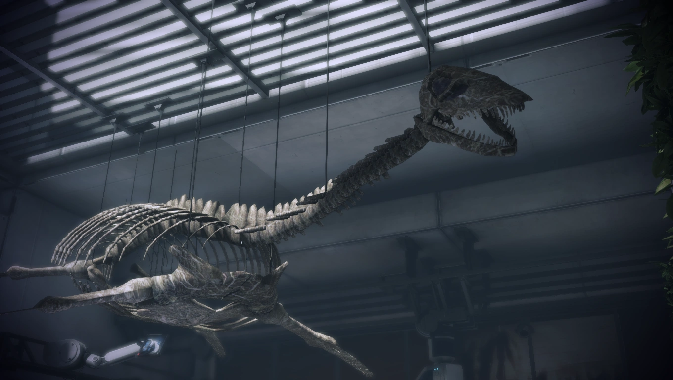 Скелет плезиозавра