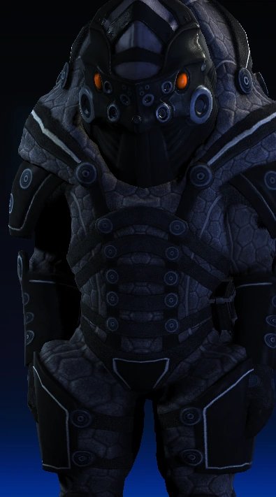 Телохранительср3