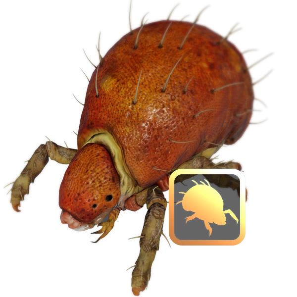 MEA Мягкий хитин