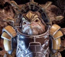 Накмор Морда