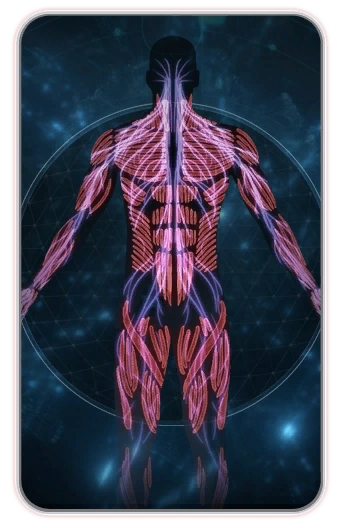 MEA Первопроходцы Импланты (кодекс)