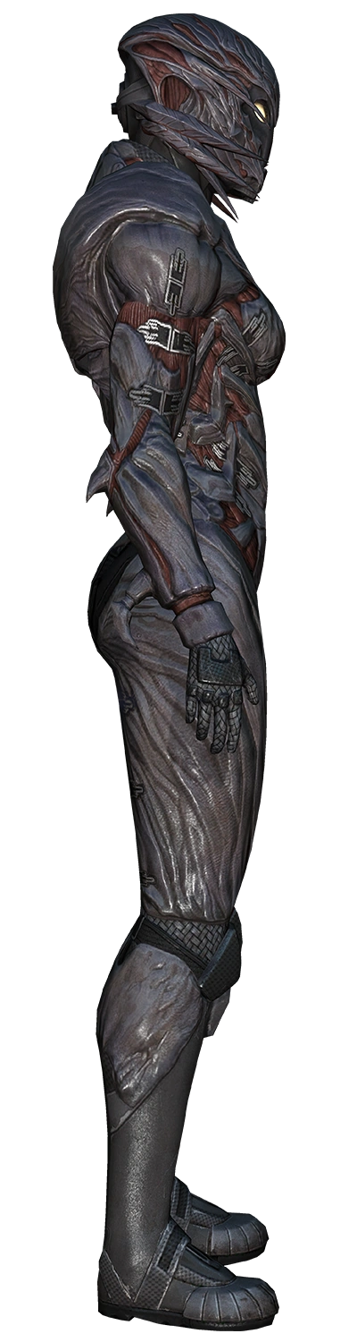 Броня Коллекционеров ME3 (3) (Женская)