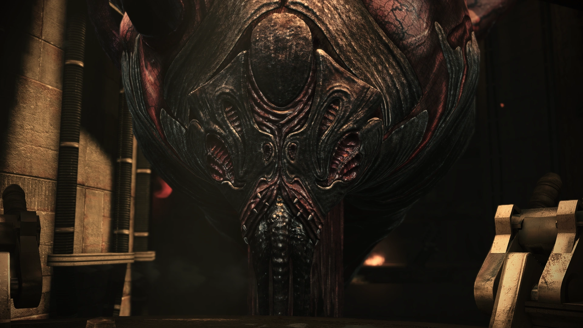 Ферос Торианин Портрет