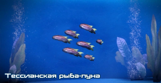 ME3 Тессианская рыба-луна