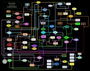 Блок-схема алхимии Noita