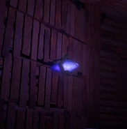 Гравикристалл в Обсерватории на Камельке.