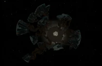 Черный Терновник