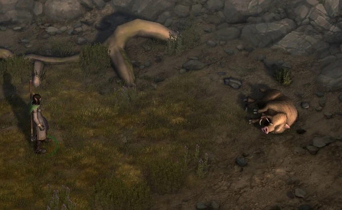 Джейтал и кабан