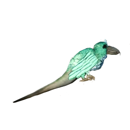 Нелетающая Птица