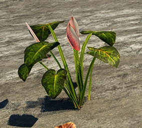 Образец №74