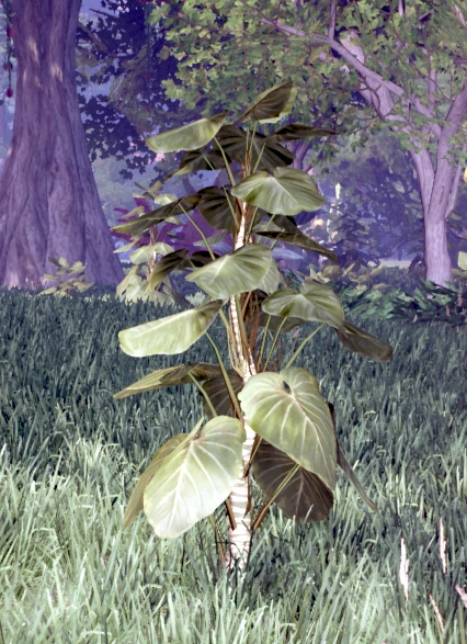 Образец №10