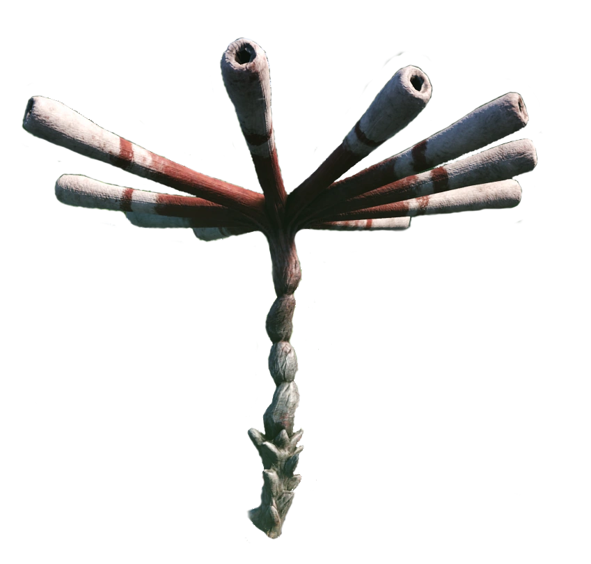 Зонтичный гриб