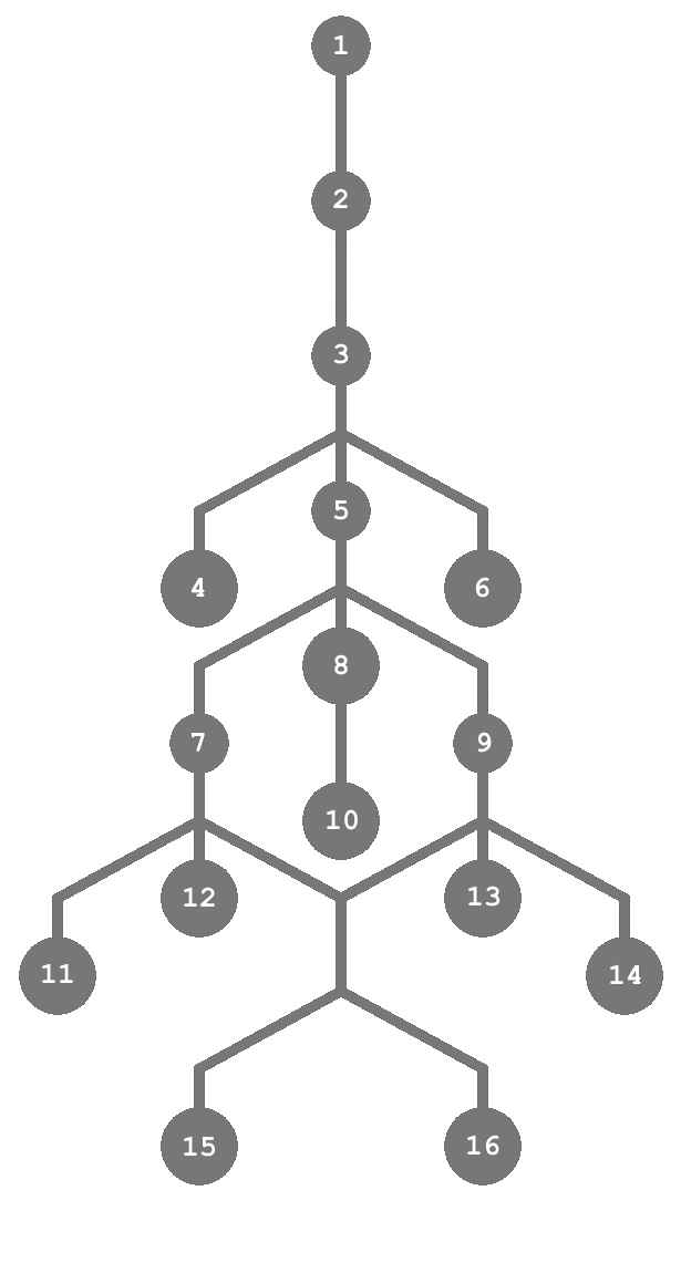 ММА Катерий3