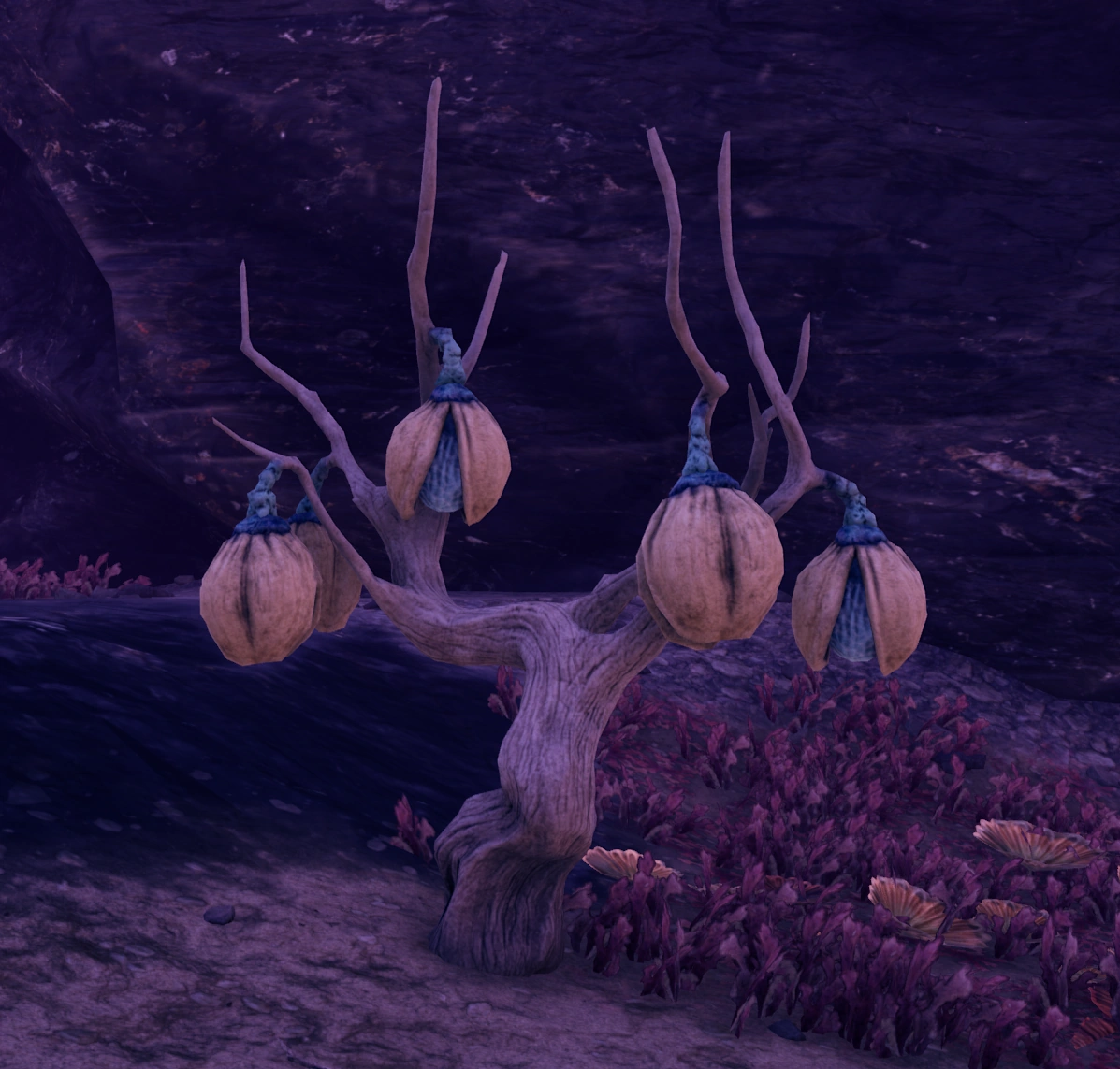 Берилловый орех2