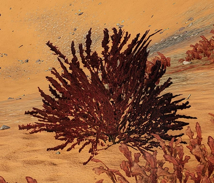 Образец №73