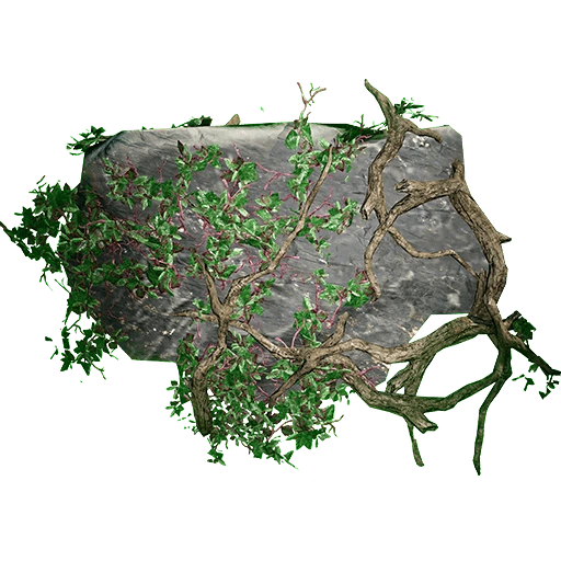 Древесная лоза1