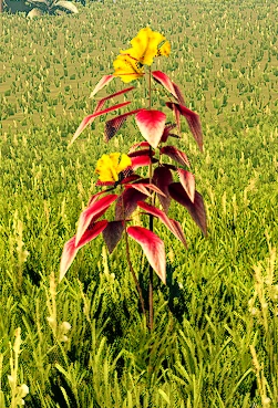 Образец №77