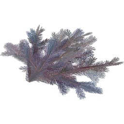 Рождественская еловая ветвь FICSIT