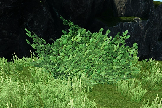 Образец №67