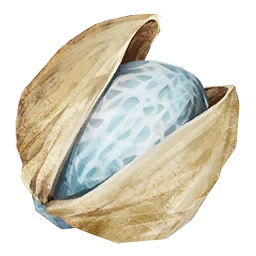 Берилловый орех