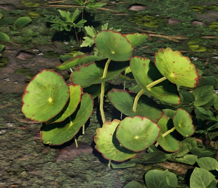 Образец №31