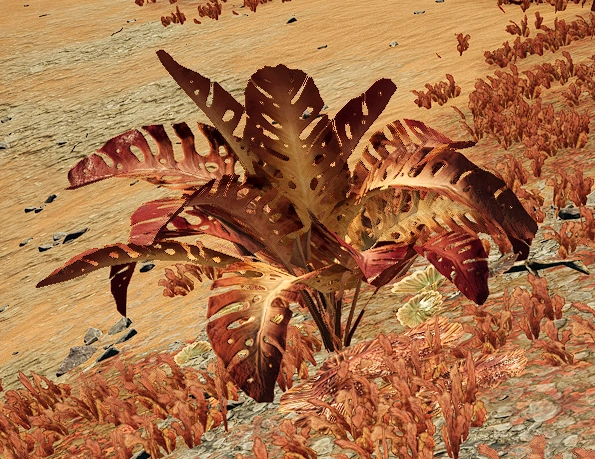 Образец №72