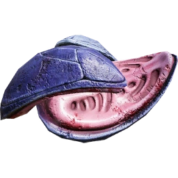 Останки гнезда