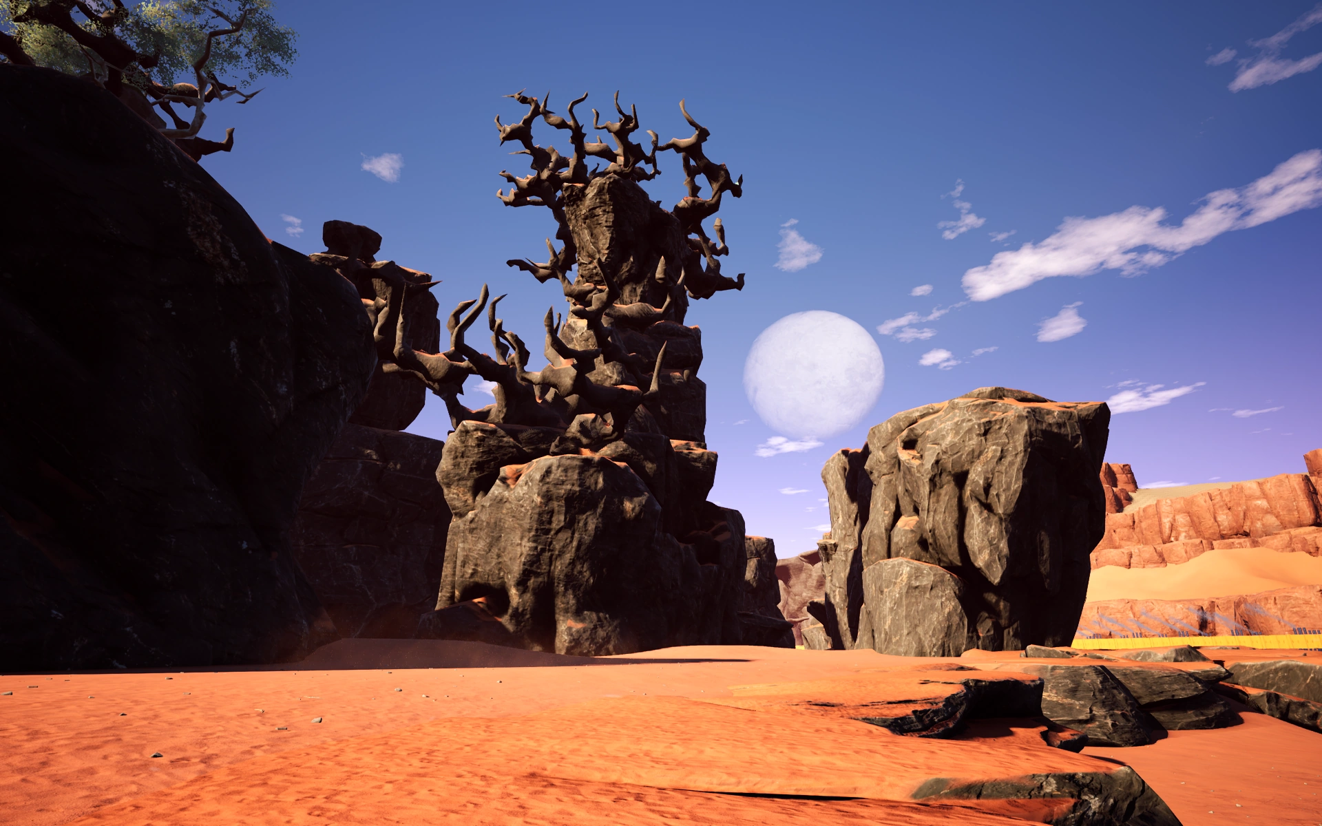 Большая колючка