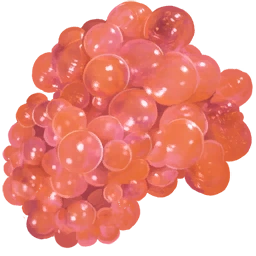 Палеоягода