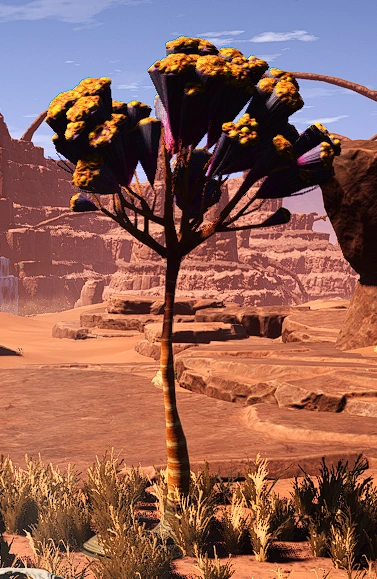 Образец №44