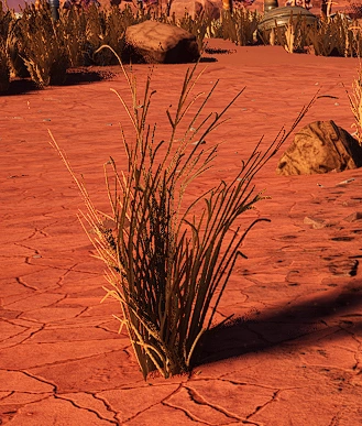 Образец №32