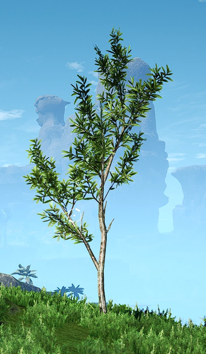 Образец №71