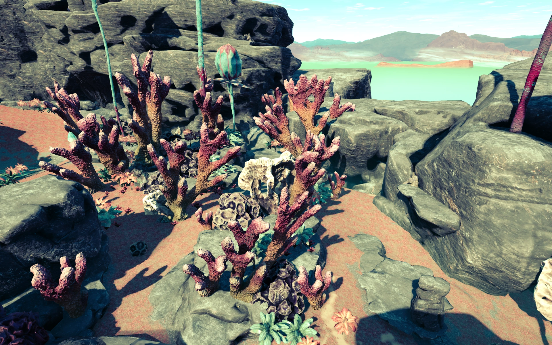 Коралловые скалы