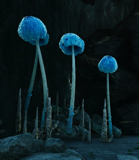 Образец №52