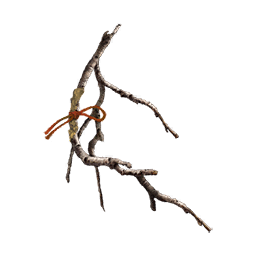 Ароматная ветвь