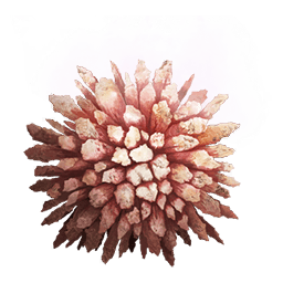 Камень чревоношения