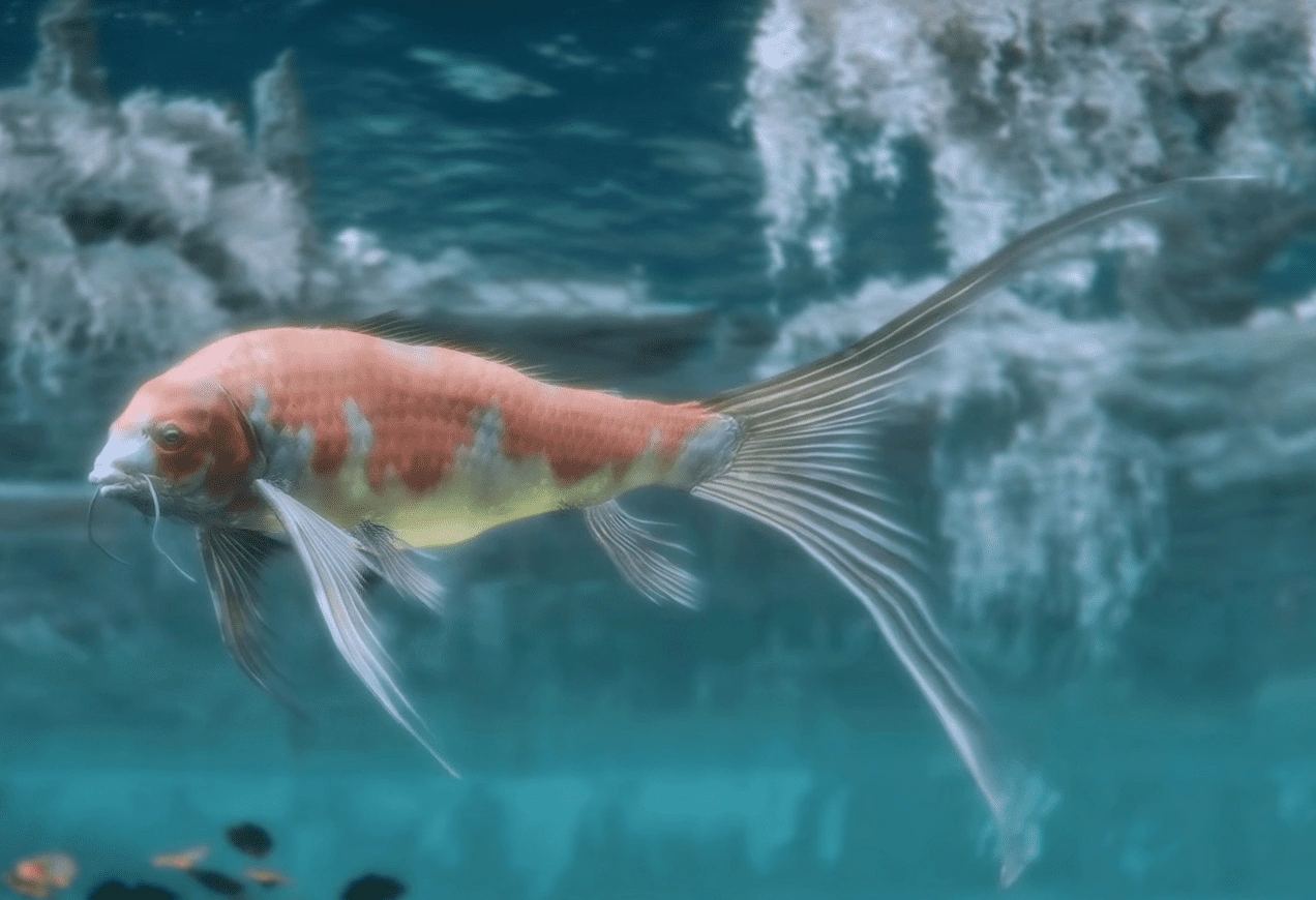 Драгоценный карп