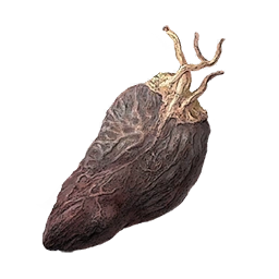 Сушёные внутренности змея