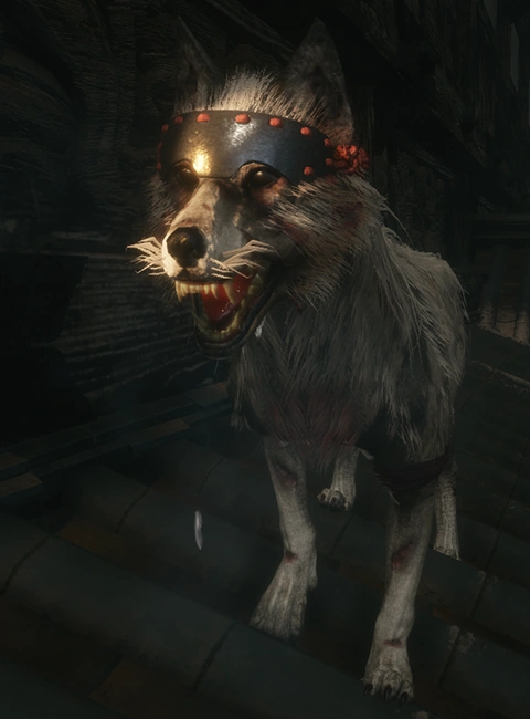 Собака Министерства