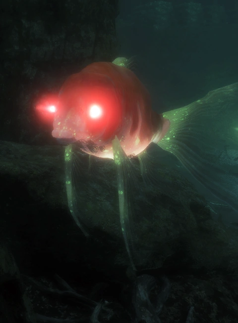 Красноглазый карп