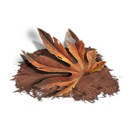 Большой веер