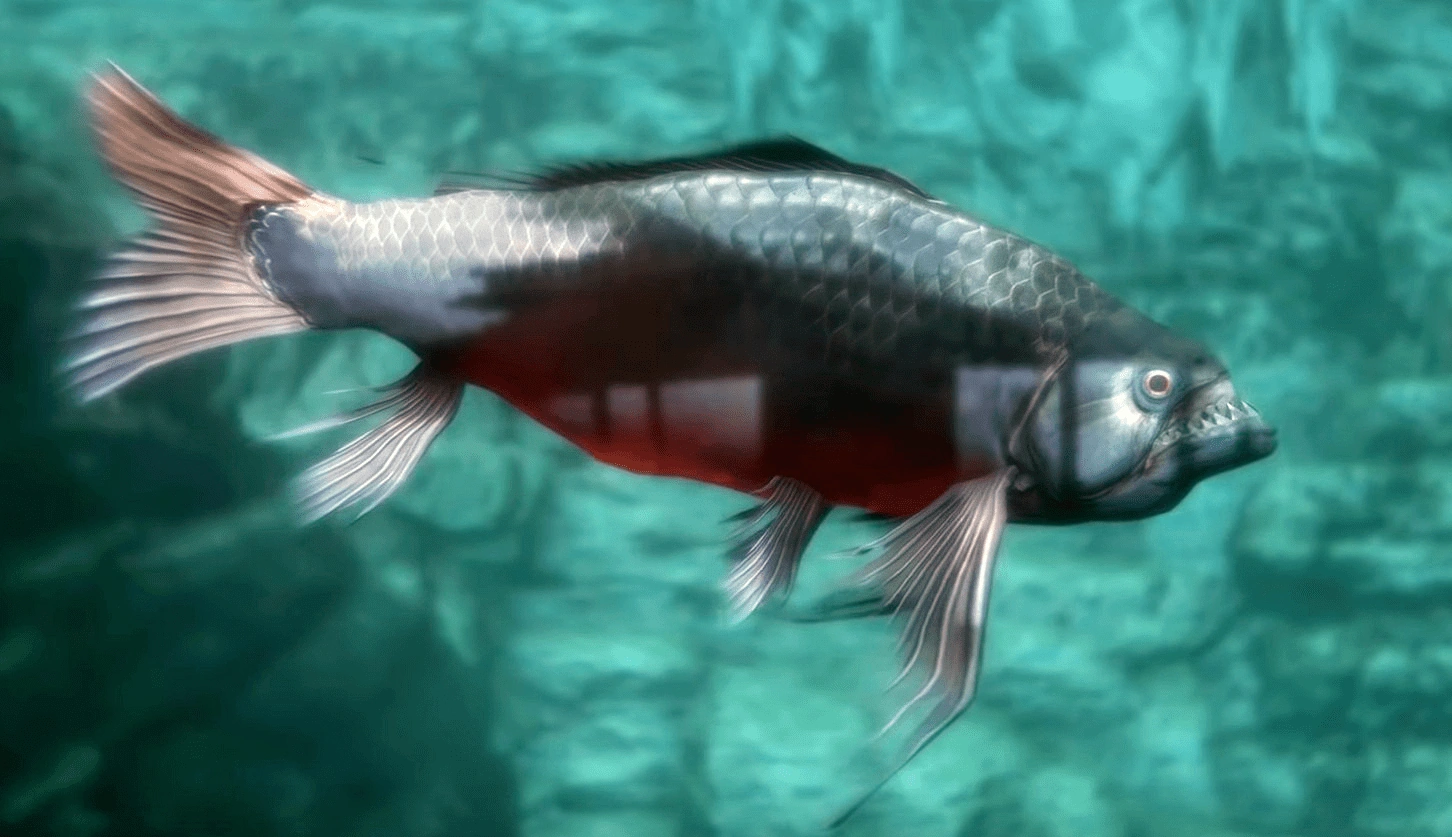 Плотоядная рыба