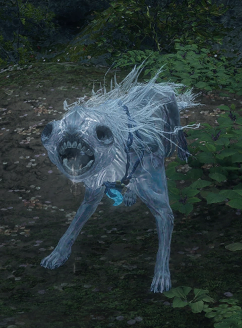 Собака Дворца