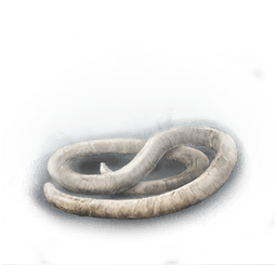 Большой белый ус