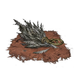 Перья туманного ворона