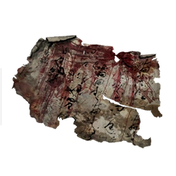 Запачканное письмо лекаря