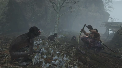 Токудзиро и обезьяны