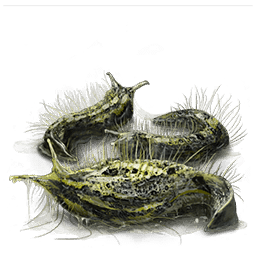 Самый ценный корм