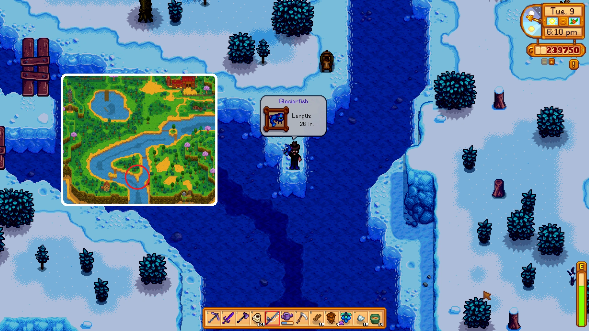 Ледорыб место