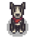 Чёрно-белая собака